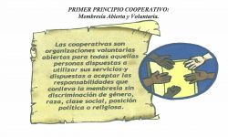 Valores y principios cooperativos