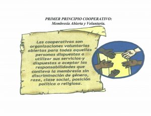 Valores y principios cooperativos