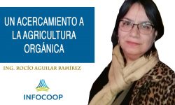 Un acercamiento a la agricultura orgánica