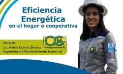 Webinar eficiencia energética