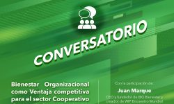 Bienestar organizacional como ventaja competitiva para el sector cooperativo